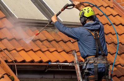 Démoussage et hydrofuge de toiture à Coudroy